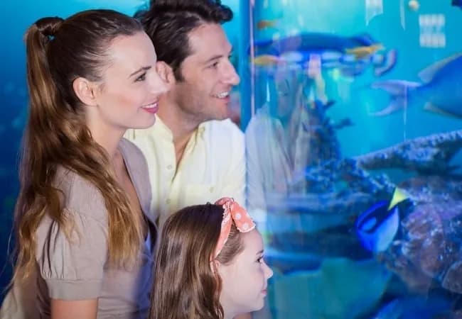 Emaar Aquarium and Underwater Zoo